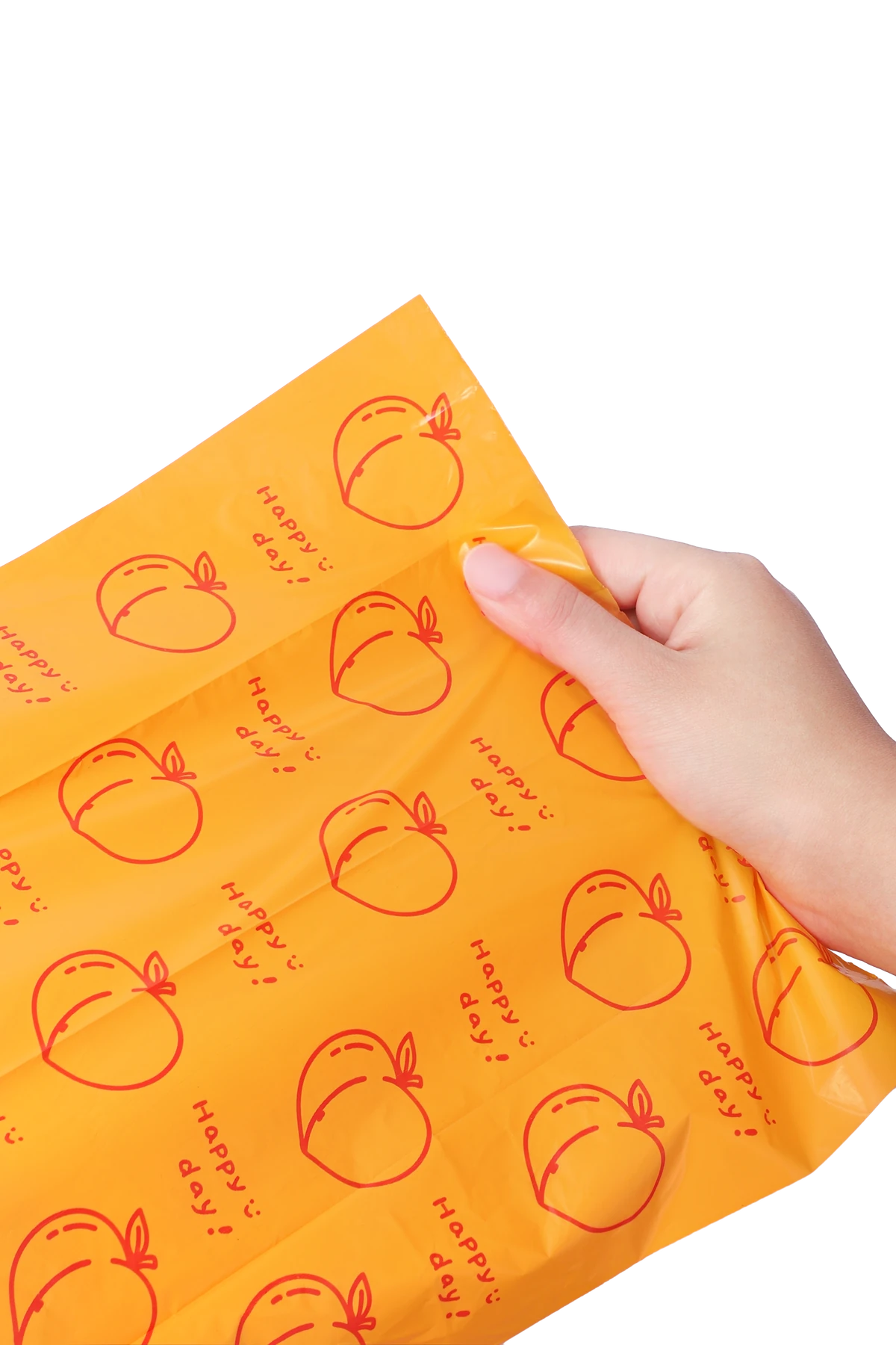 A bag, held open